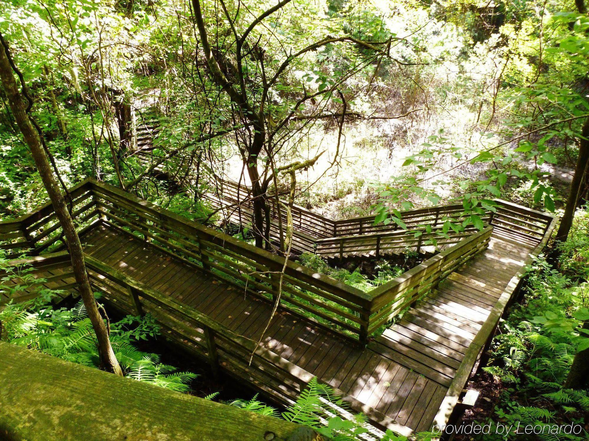 Hilton Garden Inn Gainesville Exteriér fotografie